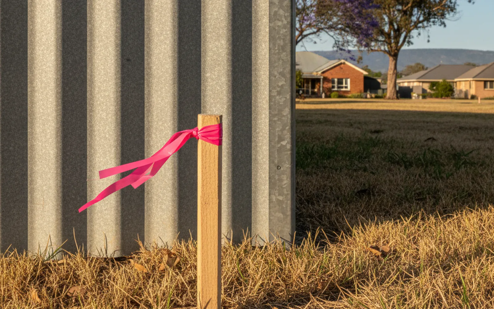 Timber stake with pink survey ribbon beside a Colorbond fence on an Adelaide suburban block
