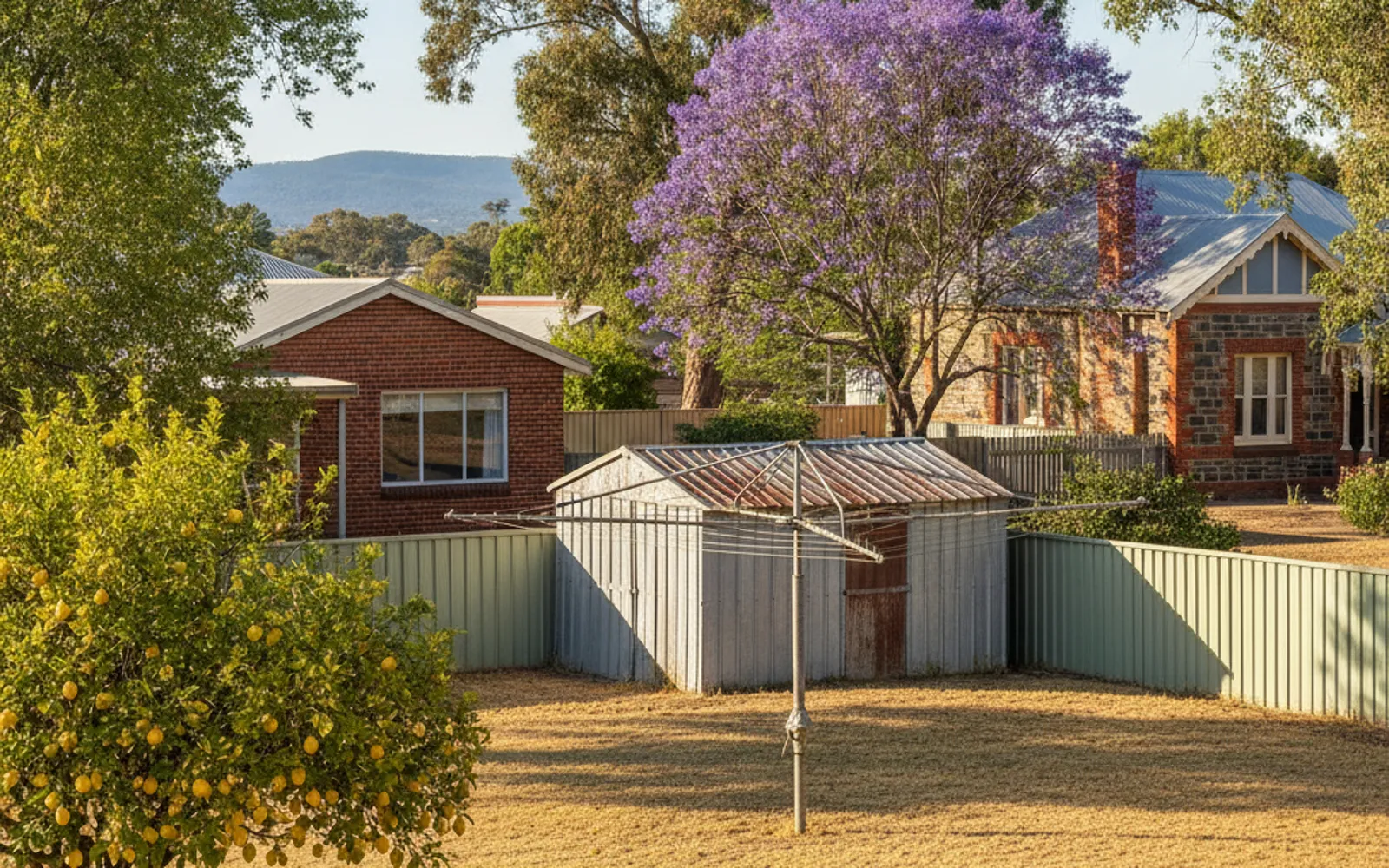 Backyard with a shed, clothesline and Colorbond fences and a house behind